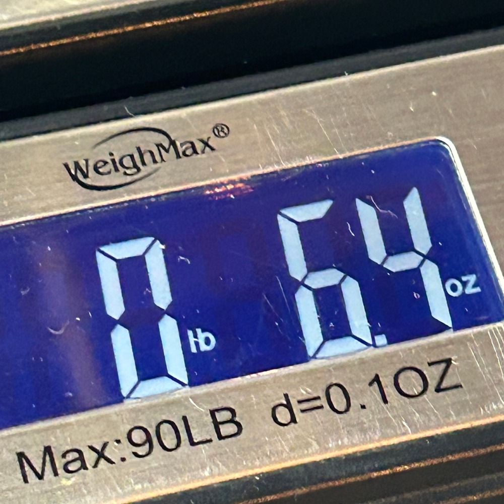 Jones New York Signature Womens 2X V-Neck Floral Top Rainshadow Multi Cotton NEW - Picture 12 of 12